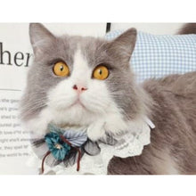 Load image into Gallery viewer, Luxurious Lace Collar