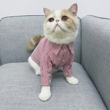 Load image into Gallery viewer, Smart Pet Striped Shirt