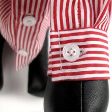 Load image into Gallery viewer, Smart Pet Striped Shirt