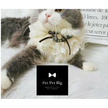 Load image into Gallery viewer, Luxurious Lace Collar