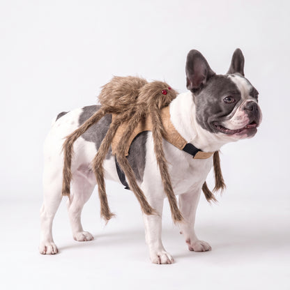 GlowTrack Leash + Costume Halloween Special Pack — BOO POP