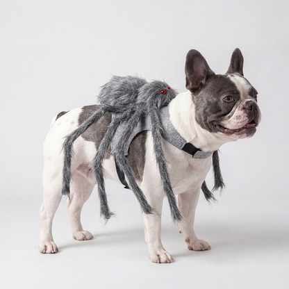 GlowTrack Leash + Costume Halloween Special Pack — BOO POP