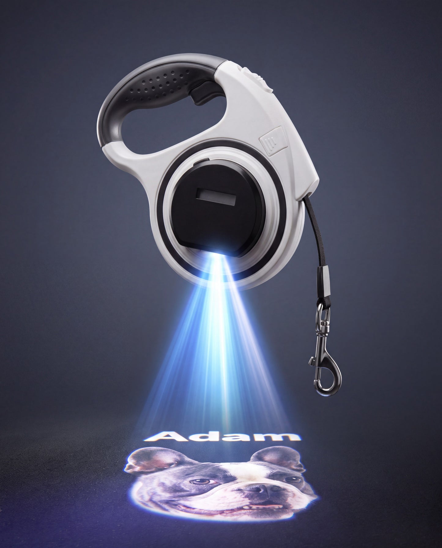 PETOGO - GlowTrack Leash