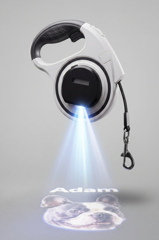 GlowTrack Leash - Turn Every Night Walk Into a Red Carpet Event