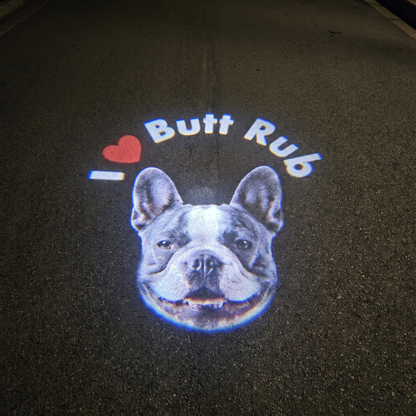 PETOGO - GlowTrack Leash