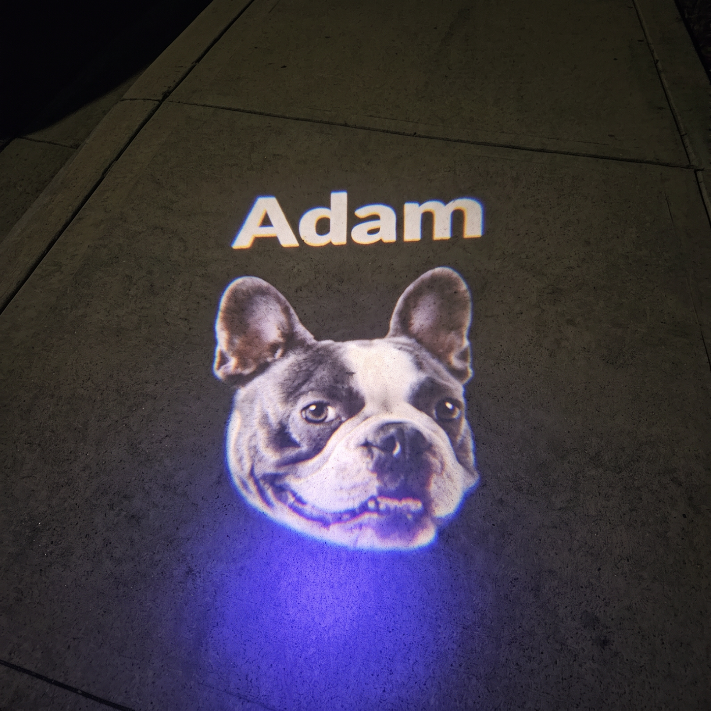 PETOGO - GlowTrack Leash