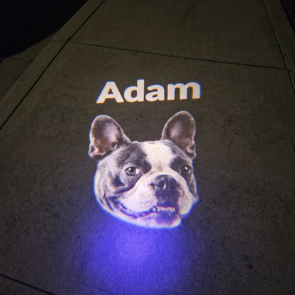 PETOGO - GlowTrack Leash