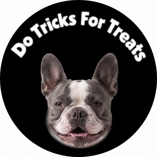 GlowTrack Custom Projection Film Add-On — Your Image + Text