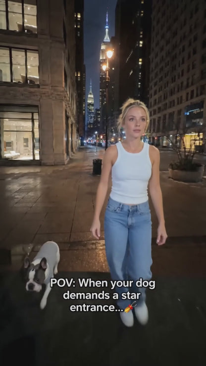 PETOGO - GlowTrack Leash