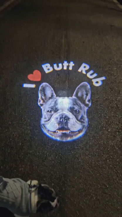 PETOGO - GlowTrack Leash