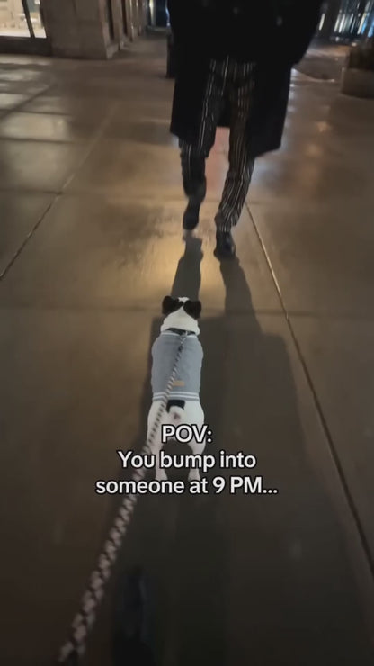 PETOGO - GlowTrack Leash