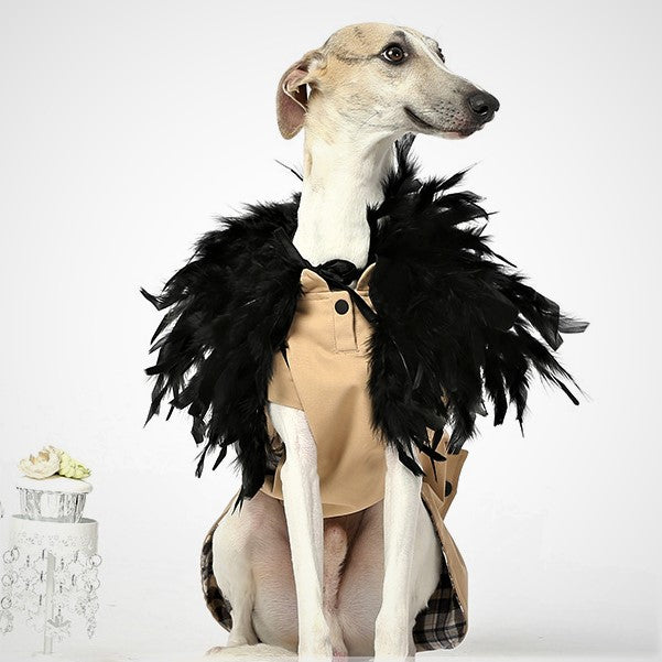 IS PET Gothic Feather Shawl