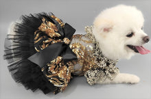 Load image into Gallery viewer, MC PET Bella Black Dress with Golden Sequins
