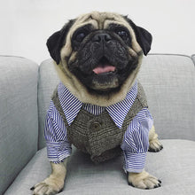 Load image into Gallery viewer, Smart Pet Striped Shirt
