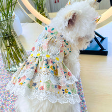 Load image into Gallery viewer, Pet Circle Floral Printed Dress with Broderie Details
